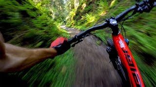 World Cup XC is no joke  Mountain Biking Dalby Forest [upl. by Carmencita]