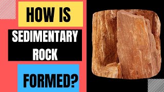 How Are Sedimentary Rocks Formed Weathering Erosion Deposition Compaction Cementation [upl. by Carson148]