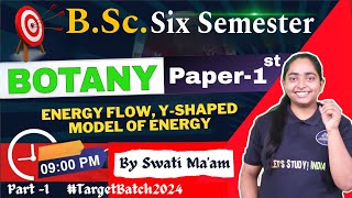 Energy Flow Yshaped Model of Energy  BSc Botany 6th Semester  Swati Maam [upl. by Oicanata]