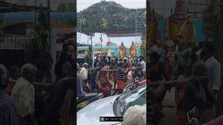 18 million Reached pork Fest Shorts பண்ணி குத்து திருவிழா streetphotography dxcreation shorts [upl. by Pettit]