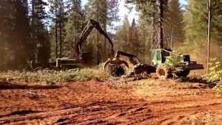 Timber Harvesting Part 1 logging [upl. by Nnod]