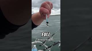 ⭕戶外釣魚：釣魚佬將魷魚墨汁塗抹在手上，結果把自己害慘了！ 海釣 戶外 魷魚 [upl. by Ahtnicaj]