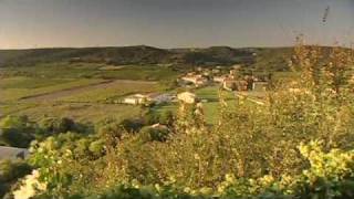 Discover The Wines of the Rhone Valley Part 2 of 3 [upl. by Aletha8]