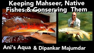 KEEPING MAHSEER FISH  NATIVE FISHES  CONSERVATON OF NATIVES [upl. by Rosemonde]