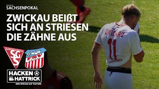 SG Dresden Striesen vs FSV Zwickau  Highlights 2 Runde Sachsenpokal [upl. by Tal]