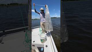 Cast Netting Menhaden [upl. by Mossberg843]