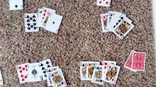 How to play Euchre Part 24 [upl. by Eima]