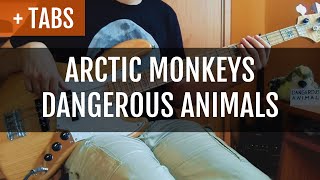 Arctic Monkeys  Dangerous Animals Bass Cover with TABS [upl. by Pimbley55]