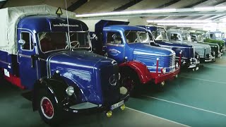 Huge Collection of Classic Trucks [upl. by Quintilla251]