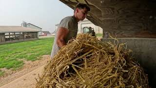 Refilling the Straw Shed [upl. by Cerellia]