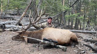 Idaho Rifle Elk Oct 2022 [upl. by Berardo]