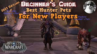 The Ultimate Beginners Guide to the Best Hunter Pets for New Players in World of Warcraft in 2023 [upl. by Hershell118]