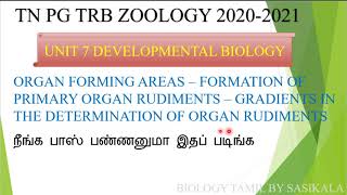 TN PG TRB ZOOLOGY DEVELOPMENTAL BIOLOGY PRIMARY ORGAN RUDIMENT IN BIOLOGY TAMIL BY SASIKALA [upl. by Jair10]