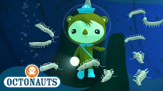 Octonauts  The Remipedes Cave  Cartoons for Kids  Underwater Sea Education [upl. by Assilym]