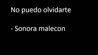 sonora malecon  no puedo olvidarte [upl. by Jorey]