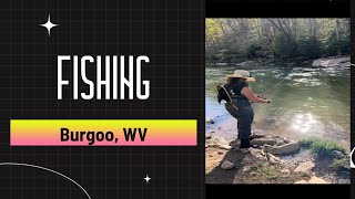 Elk River Bergoo WV fishing blessedlife [upl. by Lakym]