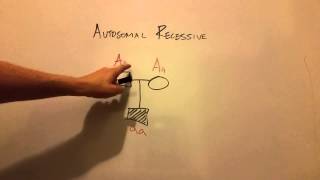 Autosomal Recessive Inheritance [upl. by Sari]