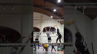 tool it 👷‍♂️🔧⚙ volleyball sports highlights [upl. by Healion]