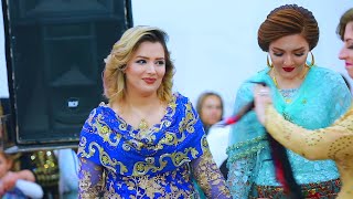 Best kurdish wedding dance by farshad nikraftar 2024 Xoshtrin zamawand 2024 [upl. by Olli]