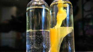 How an emulsifier works  homemade emulsion mayonnaise [upl. by Klimesh591]