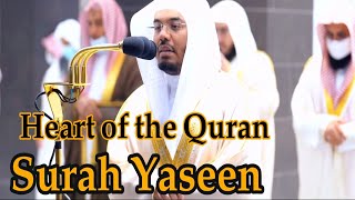 Holy Quran Complete  Yasser AlDosari 31 ياسر الدوسري [upl. by Chimene]