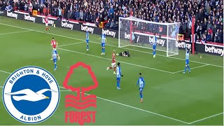 Brighton vs Nottingham Forest 22 Highlights  Premier League 20242025 [upl. by Charyl]