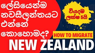 නවසීලන්තයට එන්නේ කොහොමද  How to migrate New Zealand easily  New Zealand Sinhala [upl. by Stanzel999]