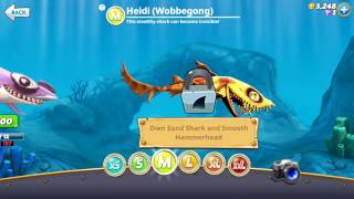 NEW Heidi Wobbegong M Shark Arrived   Hungry Shark World [upl. by Giuseppe]