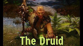 The Druid  Skyrim Anniversary  Modded Gameplay [upl. by Linea]