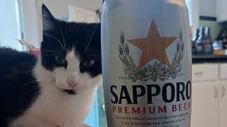 Sapporo Premium Beer Review From Vietnam Its good [upl. by Mccomb]