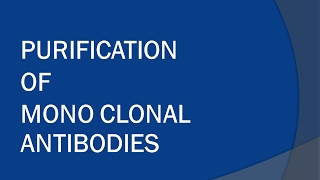 Purification of Monoclonal Antibodies [upl. by Eniar]