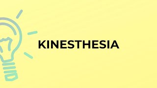 What is the meaning of the word KINESTHESIA [upl. by Mariann]