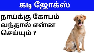 கடி ஜோக்ஸ் 4Kadi jokes in tamilmokka jokes in tamilkadi jokes episode4 [upl. by Anaeco]