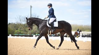 Novice 38 dressage test at ROR winter champs Pickering Grange OTTB [upl. by Akino]