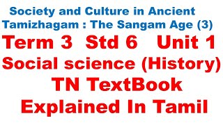 Society and Culture in Ancient TamizhagamThe Sangam Age 3  Std 6  Unit 1 Term 3 TN Text Book [upl. by Enak]