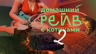 КОТИКА НАКРЫЛО  ДОМАШНИЙ РЕЙВ С КОТИКАМИ 2  RAVE DJ SET  Mix techno breakbeat electro house [upl. by Reitrac997]