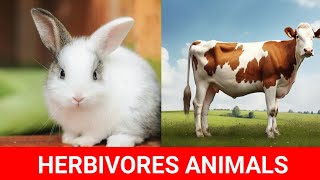 Types of Animals by eating habits Herbivores Carnivores Omnivores Scavengers [upl. by Ilhsa]