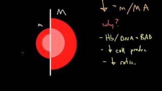 Clinical Approach to Anemia [upl. by Ranit]