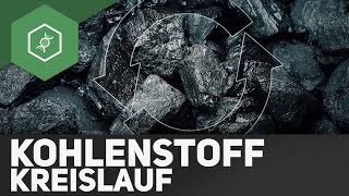 Kohlenstoffkreislauf – Stoffkreisläufe 3 [upl. by Akirdnuhs]