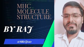 structure of MHC molecule immunology [upl. by Bone]