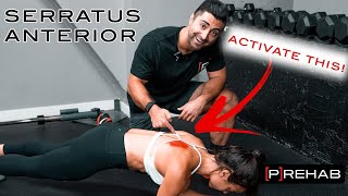 The BEST Serratus Anterior Exercises [upl. by Plusch]