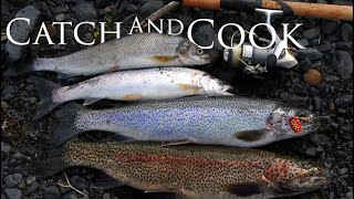 Ultimate Fishing Highlight Reel from Adventures Across the Canadian Wild with Jim Baird [upl. by Edris]