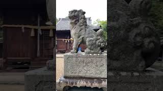 岡崎市橋目町白山神社 白山神社 神社 橋目城跡 岡崎市 愛知県 橋目町 菊理姫命 白山大権現 0025 [upl. by Erma]