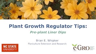 Tips on Applying PGR Preplant Liner Soaks [upl. by Stannfield]