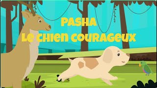 PASHA LE CHIEN COURAGEUX  HISTOIRE POUR PETITS  CONTES EN FRANCAIS  FRENCH FAIRY TALES [upl. by Rurik]