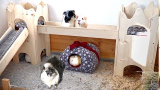 Building a Guinea Pig Castle  DIY Castle Cage [upl. by Euqinot]