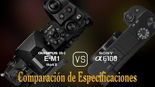 Olympus OMD EM1 Mark III vs Sony A6100 Una Comparación de Especificaciones [upl. by Anawik]