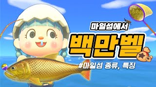 돈 되는 건 다 합니다 마일섬에서만 백만벨 벌기ㅣ모동숲 마일섬 꿀팁ㅣACNH [upl. by Esli]