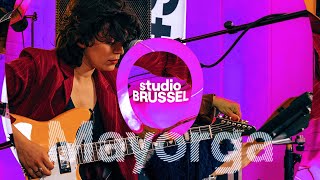 Mayorga — Tussenin Brihang cover  StuBru LIVE LIVE [upl. by Zeta790]