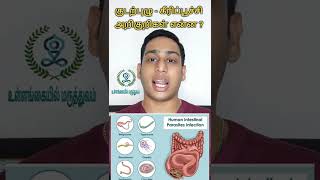 குடற்புழு  கீரிப்பூச்சி பிரச்சனை அறிகுறிகள்  Intestinal worms  Parasitic worms  Deworming [upl. by Olnton]